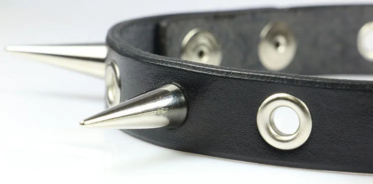 3/4" Wide Choker with Eyelets and 1" Cone Spikes