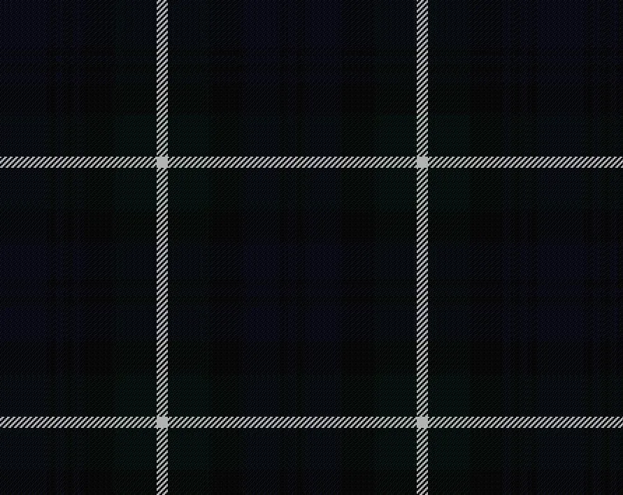 Lamont Modern Tartan Scarf