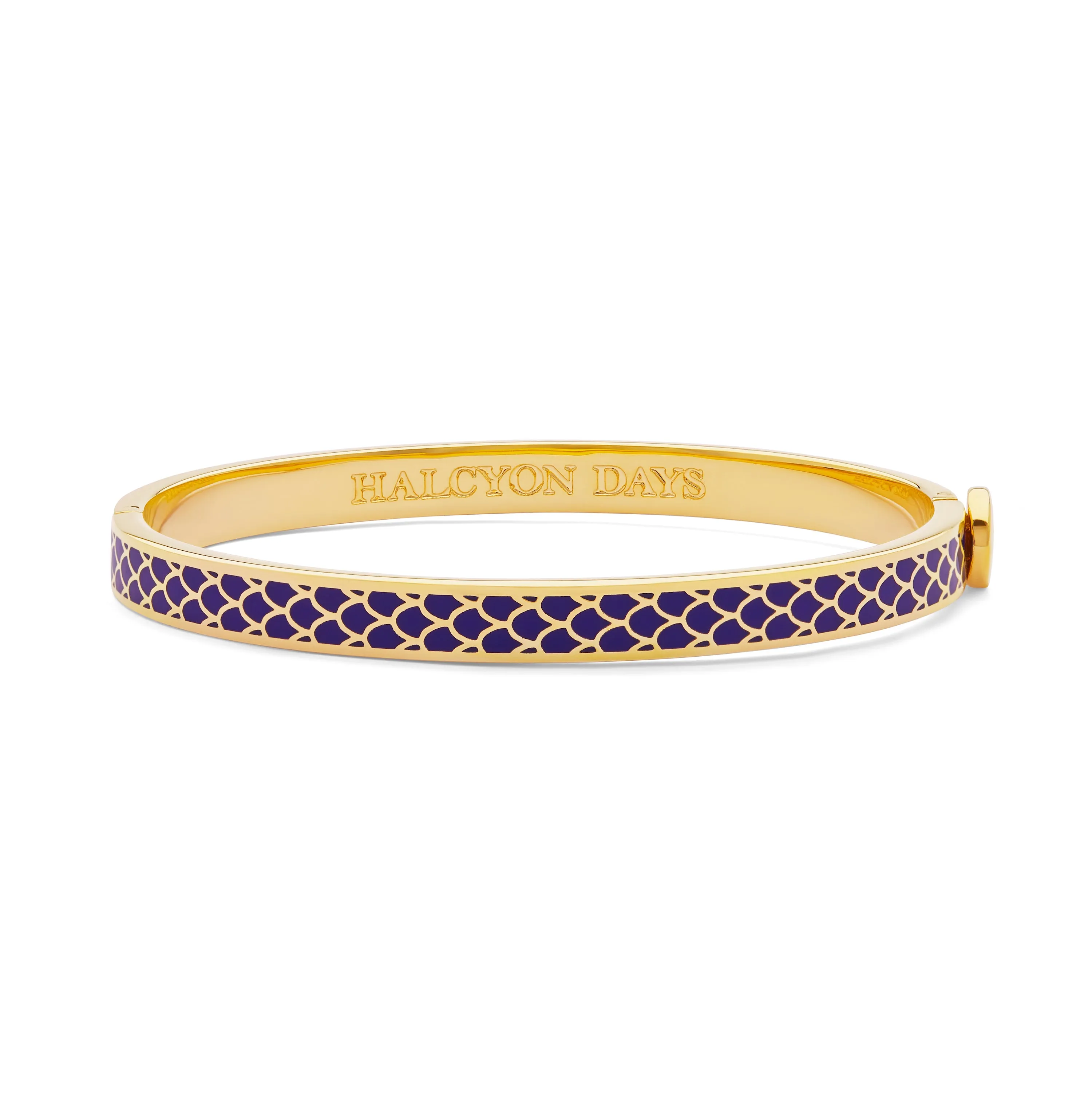 Skinny Salamander Cobalt & Gold Bangle